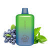 Blueberry Mint