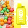 Watermelon Bubblegum