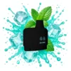 Pod STLTH Ice Mint